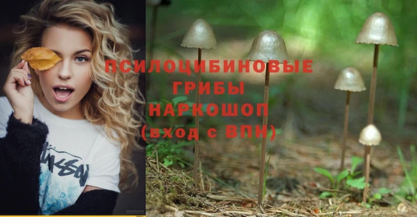 винт Заводоуковск