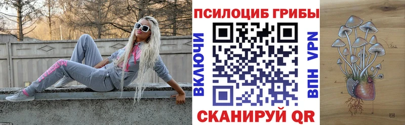 Псилоцибиновые грибы MAGIC MUSHROOMS  Купить  Беломорск 