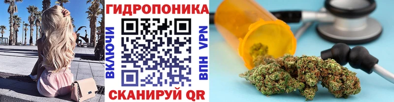 Бошки Шишки MAZAR  Купить закладки  Беломорск 